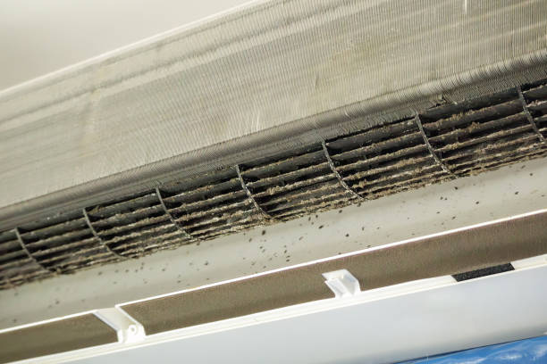 Best Air Duct Cleaning Near Me  in Le Mars, IA